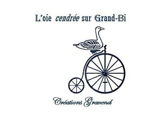 l'oie cendree sur grand bi vignette